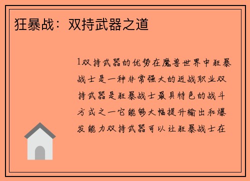 狂暴战：双持武器之道