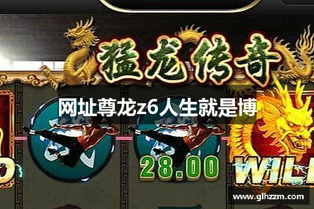 网址尊龙z6人生就是博